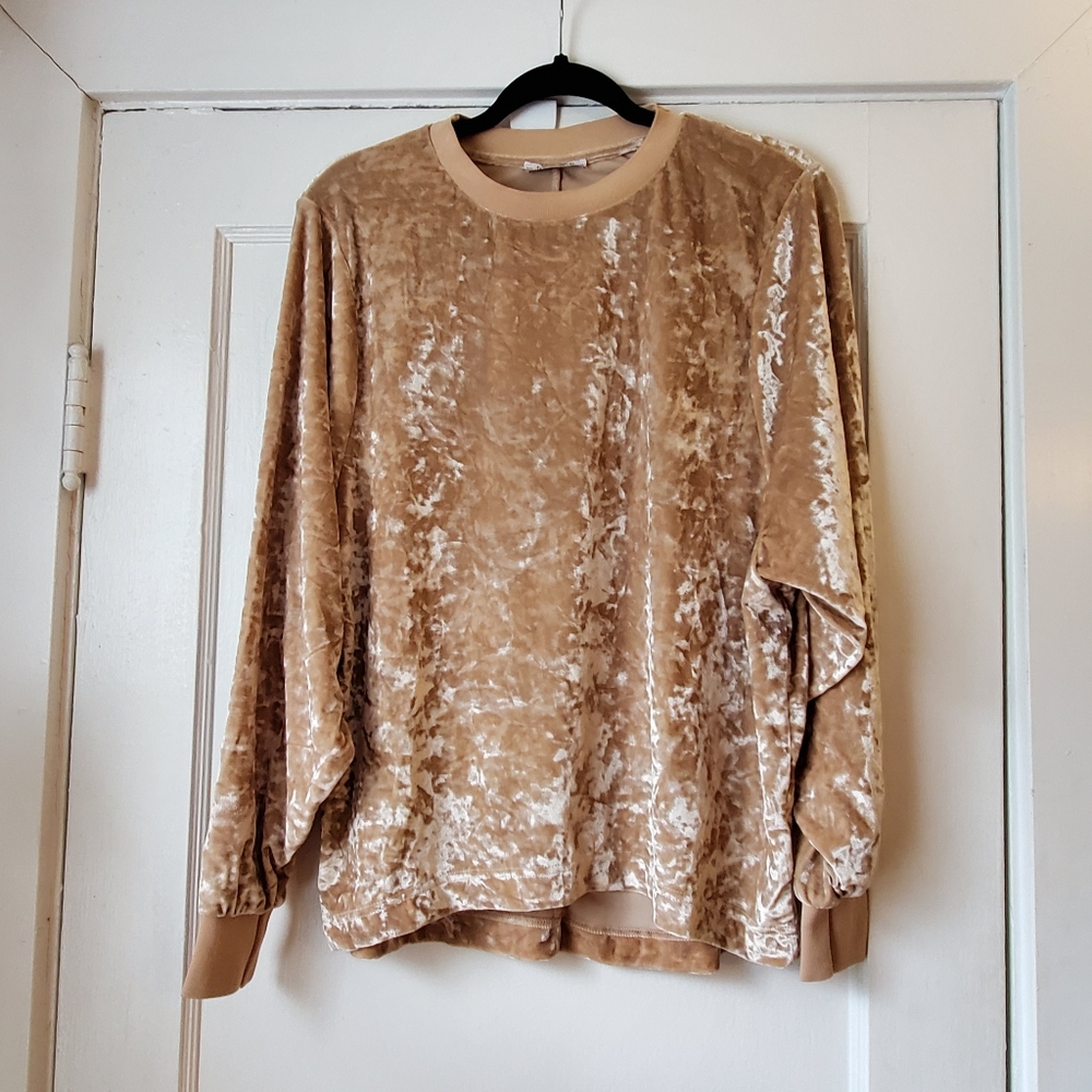 ZARA CRUSHED VELVET TOP
